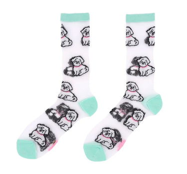 Chaussettes Transparentes Bichon